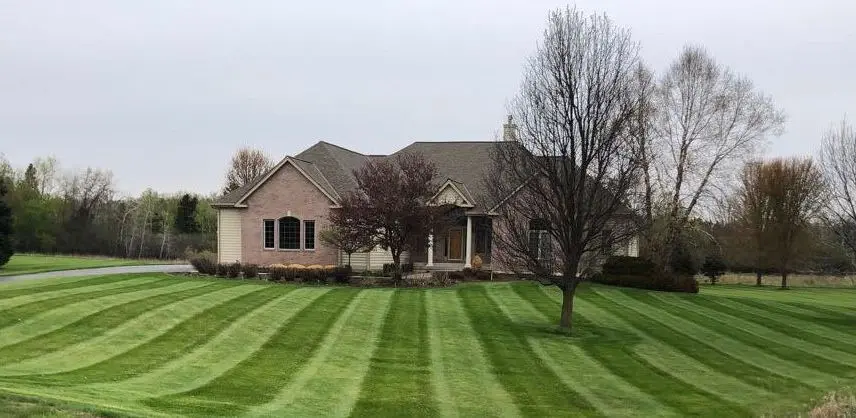 Wallys landscape co services