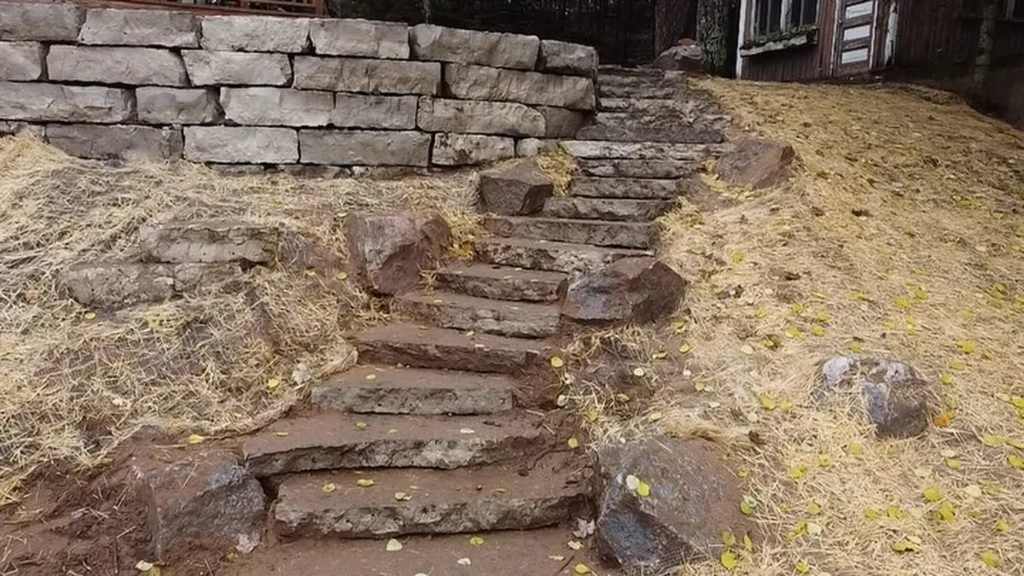 Wallys landscape co services